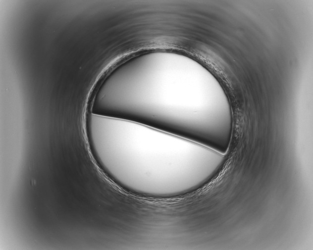 X0000098220942200804241130