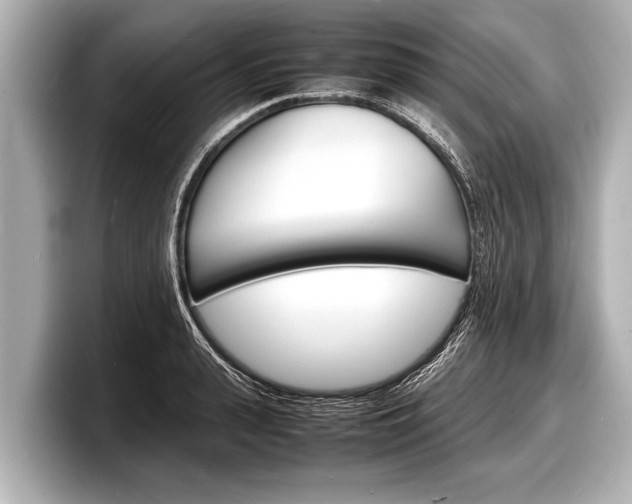 X0000098220943200804241130