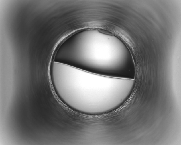 X0000098220944200804241130