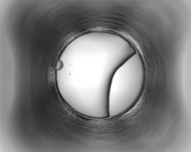 X0000098220945200804241130
