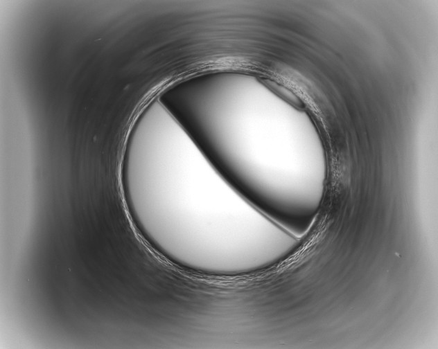 X0000098220946200804241130