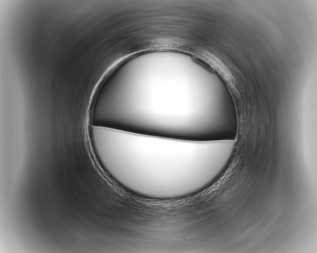 X0000098220948200804241130