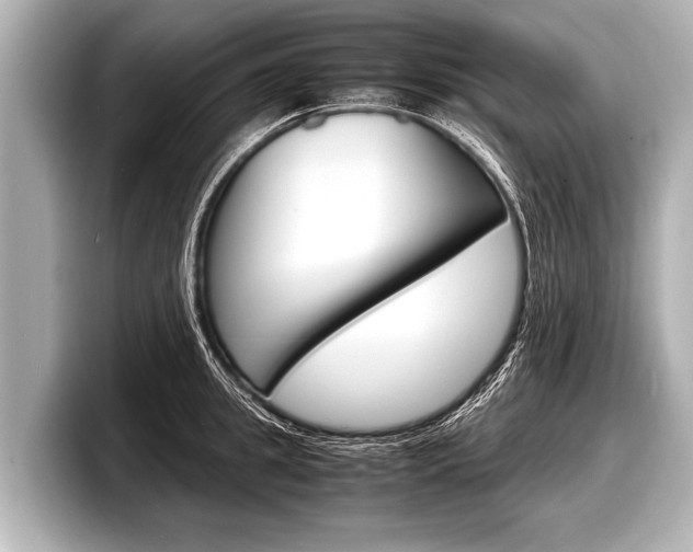 X0000098220949200804241130