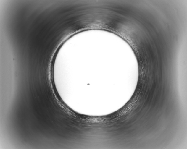 X0000098220950200804241130