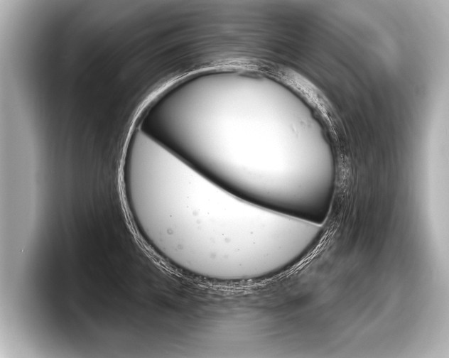 X0000098220952200804241130