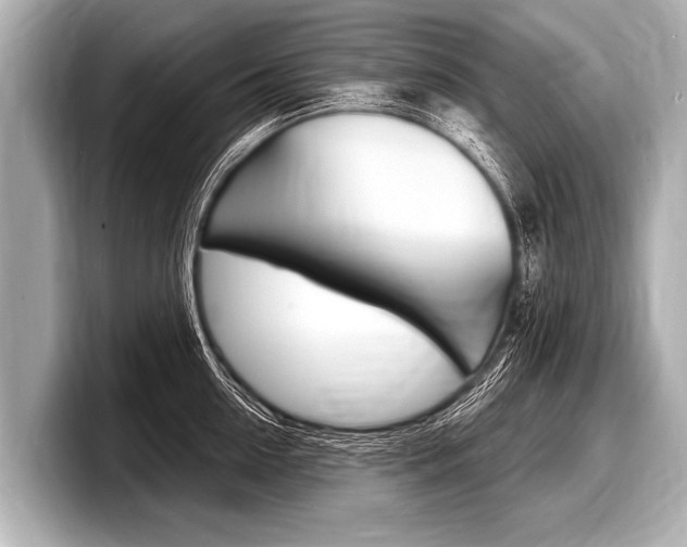 X0000098220954200804241130