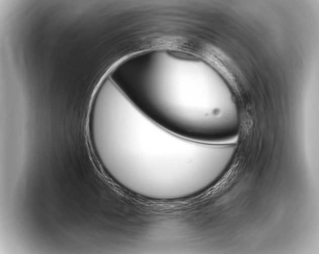 X0000098220956200804241130