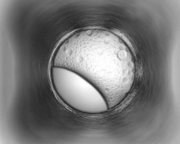 X0000098220957200804241130