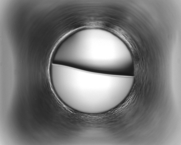 X0000098220959200804241130