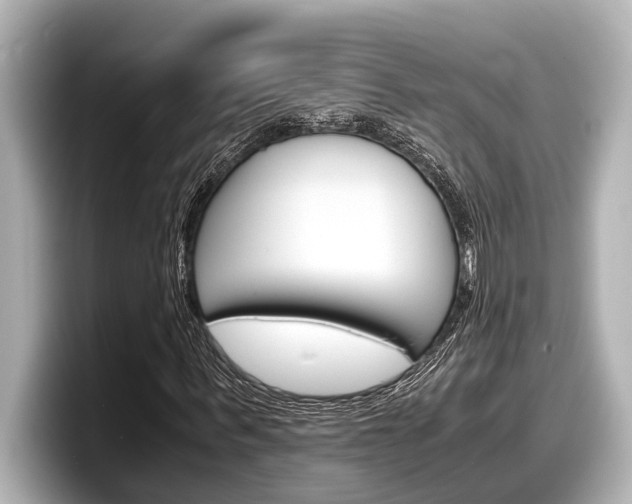 X0000098220963200804241130