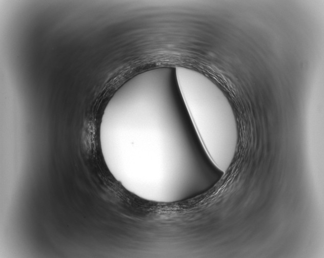 X0000098220964200804241130