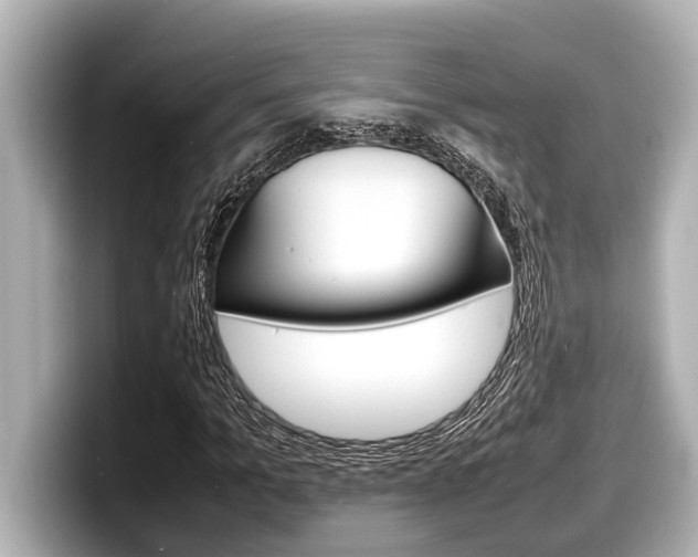 X0000098220965200804241130