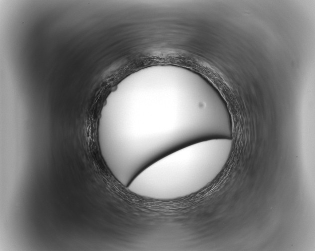 X0000098220966200804241130