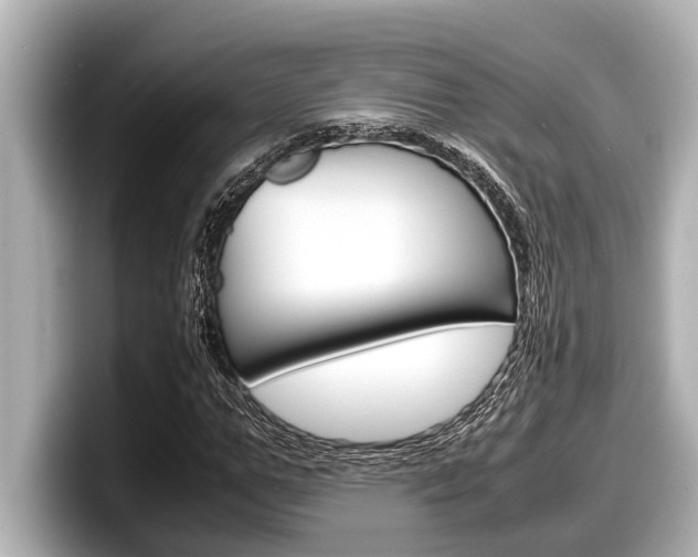 X0000098220967200804241130