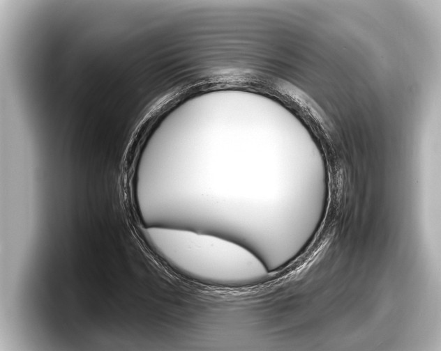 X0000098220970200804241130