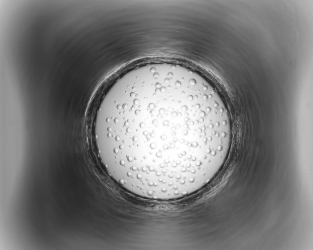 X0000098220974200804241130