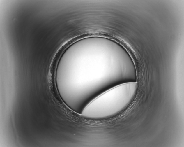 X0000098220975200804241130
