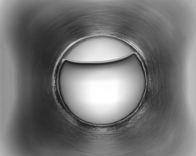 X0000098220976200804241130