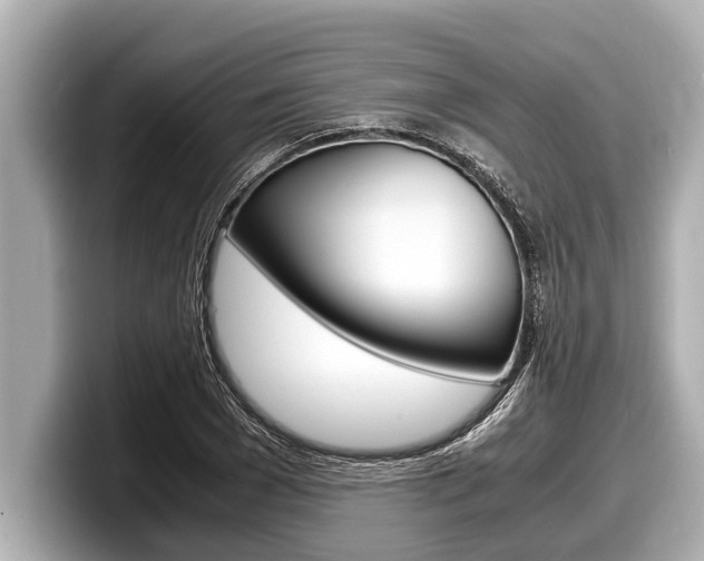 X0000098220977200804241130