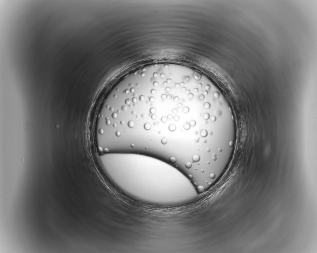 X0000098220978200804241130