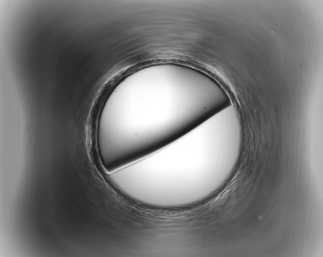 X0000098220979200804241130