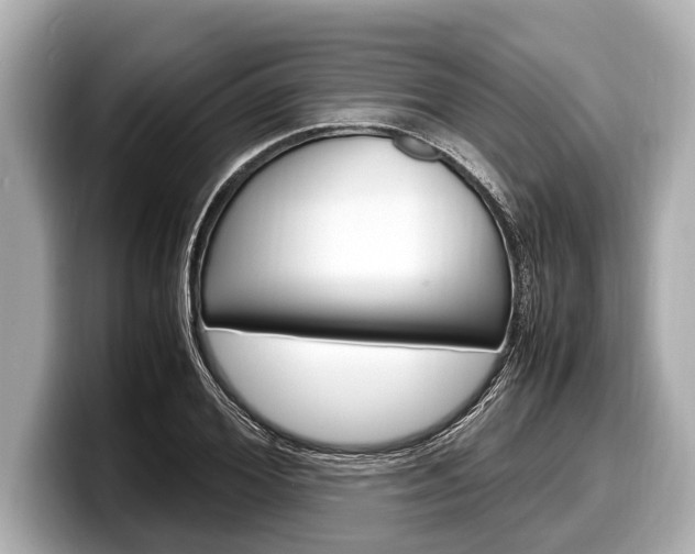 X0000098220980200804241130