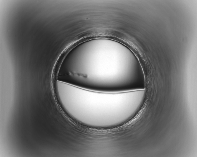 X0000098220981200804241130