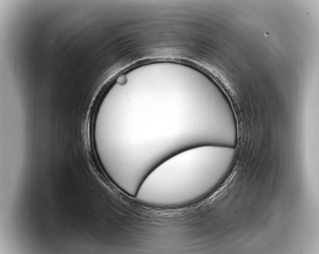 X0000098220982200804241130
