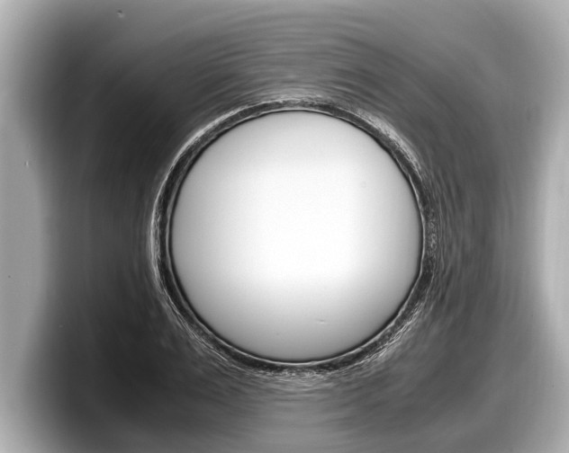 X0000098220983200804241130