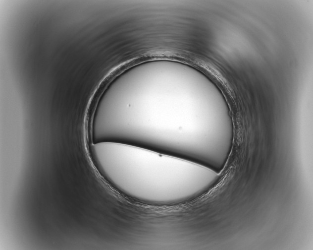 X0000098220984200804241129