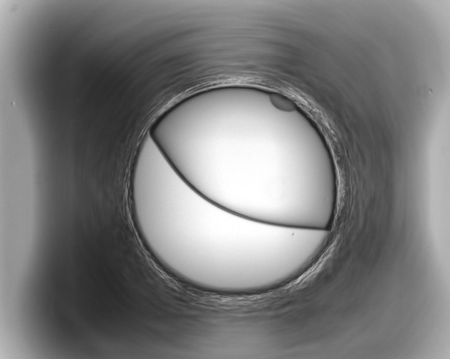 X0000098220985200804241129