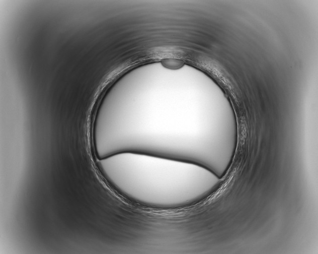 X0000098220986200804241129