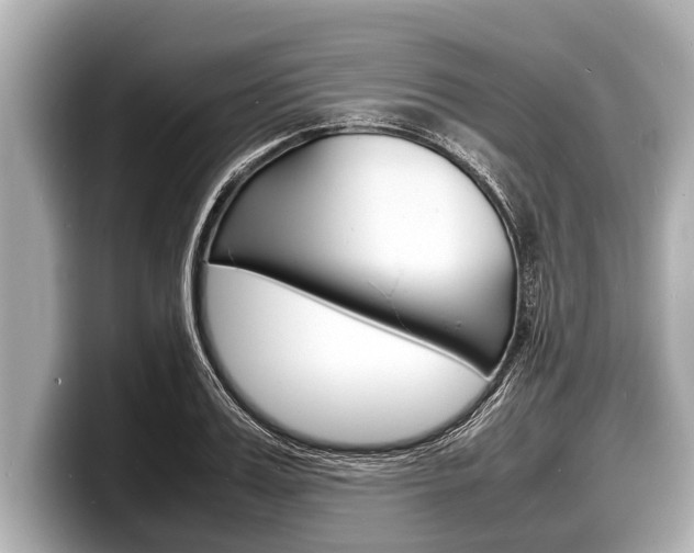 X0000098220987200804241129