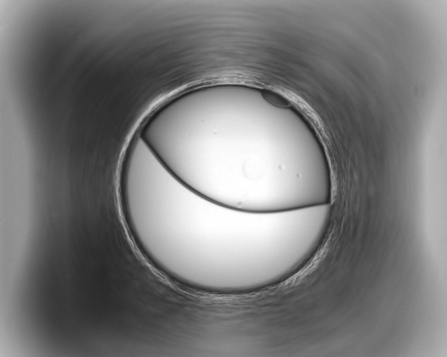 X0000098220989200804241129