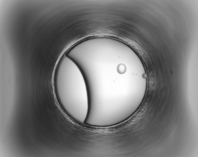 X0000098220990200804241129
