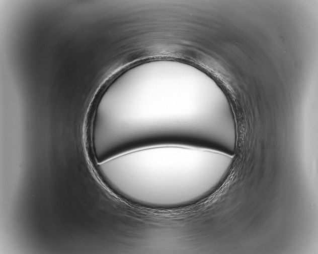 X0000098220991200804241129