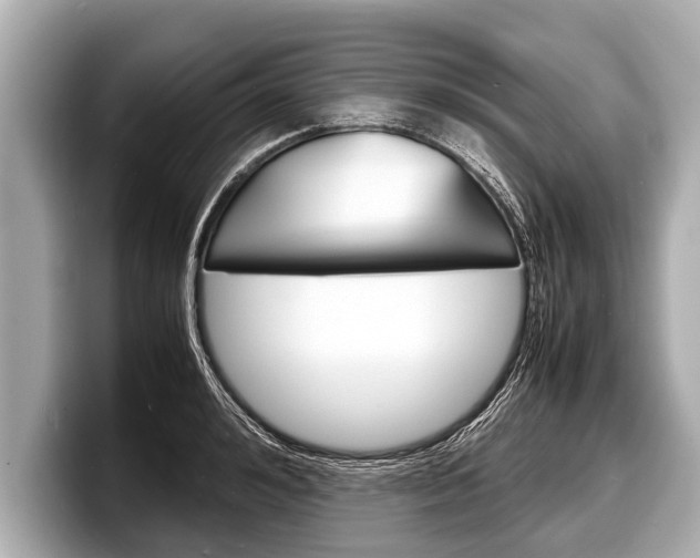 X0000098220992200804241129