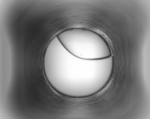 X0000098220993200804241129