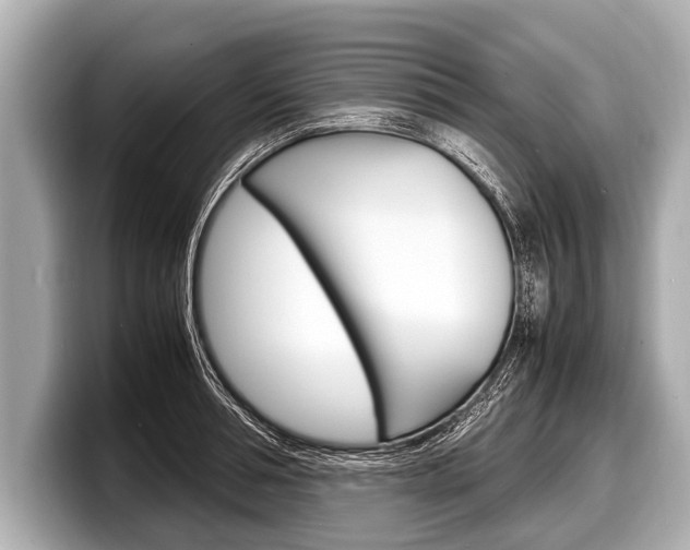 X0000098220994200804241129