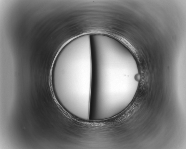 X0000098220996200804241129
