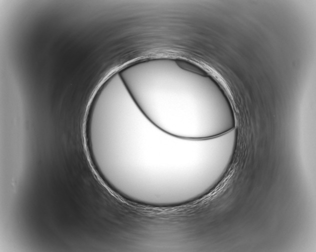 X0000098220997200804241129