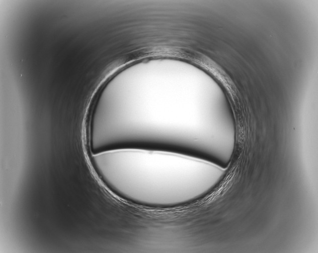 X0000098220999200804241129