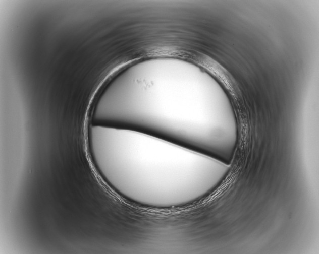 X0000098221000200804241129