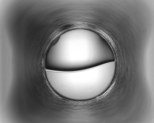 X0000098221001200804241129