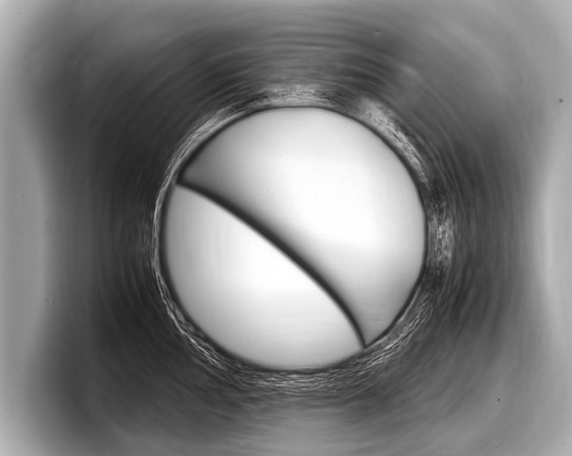 X0000098221002200804241129