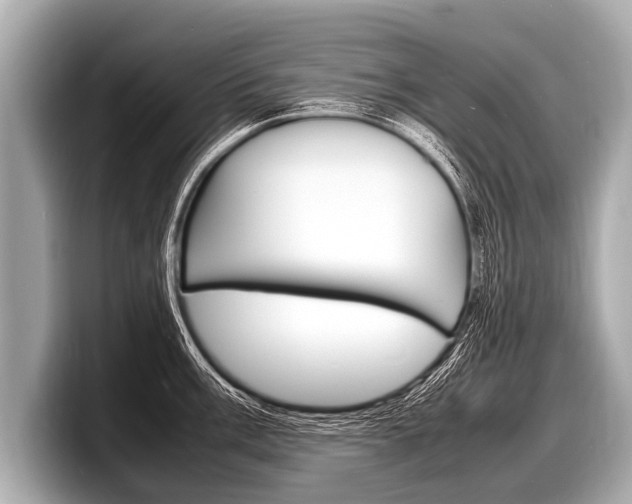 X0000098221003200804241129