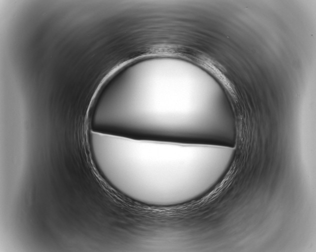 X0000098221004200804241129