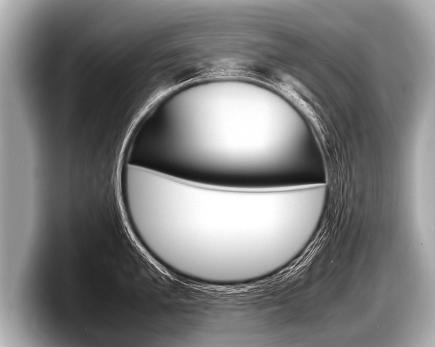 X0000098221005200804241129