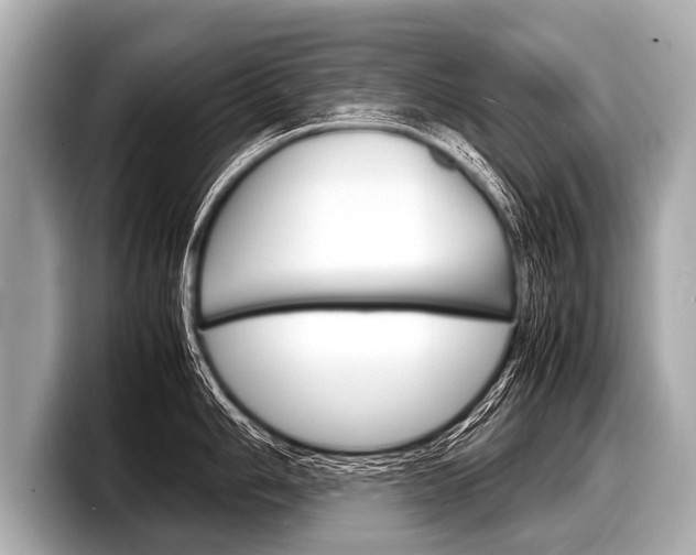 X0000098221006200804241129