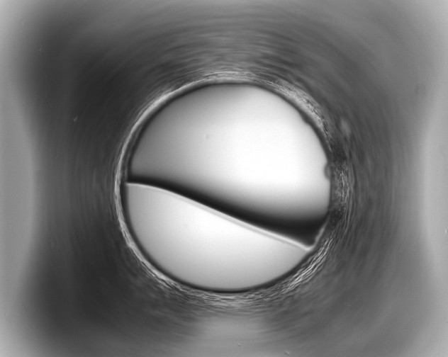 X0000098221007200804241129